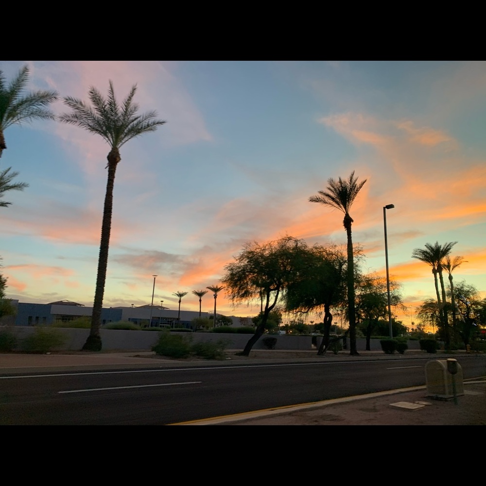 Meet your Posher, Taylor